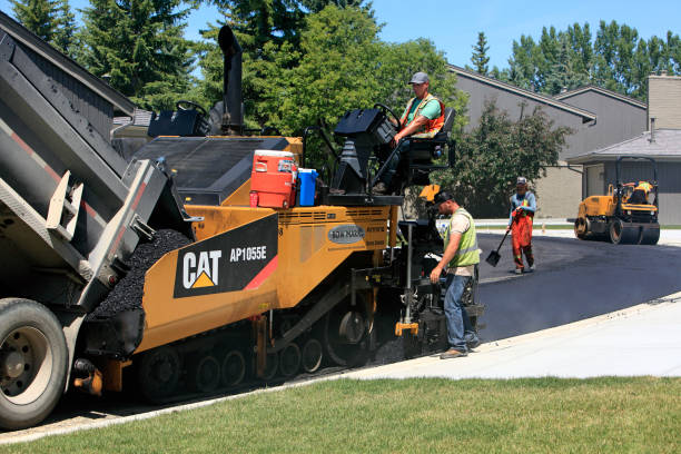 Best Driveway Paving Near Me  in Level Green, PA